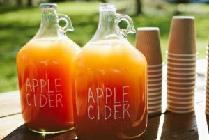 Can apple cider vinegar curb appetite?